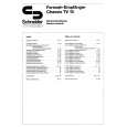 SCHNEIDER TV10 Service Manual SCHNEIDER TV10 Service Manual