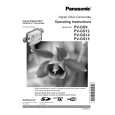 PANASONIC PVGS12 Owners Manual PANASONIC PVGS12 Owners Manual