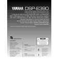 YAMAHA DSP-E390 Owners Manual YAMAHA DSP-E390 Owners Manual