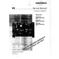 GRUNDIG THARUS26 Service Manual GRUNDIG THARUS26 Service Manual