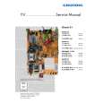 GRUNDIG DAVIO 55 Service Manual GRUNDIG DAVIO 55 Service Manual
