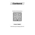 CORBERO V-DUOTWINSI Owners Manual CORBERO V-DUOTWINSI Owners Manual