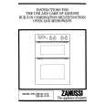 ZANUSSI FBi534/31B Owners Manual ZANUSSI FBi534/31B Owners Manual