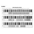 YAMAHA YDP-113 Skrócona Instrukcja Obsługi YAMAHA YDP-113 Skrócona Instrukcja Obsługi