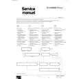 PHILIPS D12T100 Service Manual PHILIPS D12T100 Service Manual