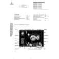 SIEMENS FT20 Service Manual SIEMENS FT20 Service Manual
