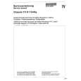 SCHNEIDER TV8.1 DOLBY Service Manual SCHNEIDER TV8.1 DOLBY Service Manual