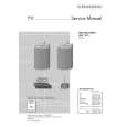 GRUNDIG LSP3WT1 Service Manual GRUNDIG LSP3WT1 Service Manual