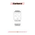 CORBERO V-TWINS210R Owners Manual CORBERO V-TWINS210R Owners Manual