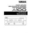 YAMAHA A100 Instrukcja Obsługi YAMAHA A100 Instrukcja Obsługi