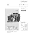 GRUNDIG MFW82710/9DVD Service Manual GRUNDIG MFW82710/9DVD Service Manual