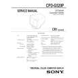 SONY CPDG250P Service Manual SONY CPDG250P Service Manual