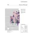 GRUNDIG T 55-1101/5 TXT Service Manual GRUNDIG T 55-1101/5 TXT Service Manual